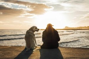 recordar siempre a tu perro